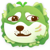 菜狗