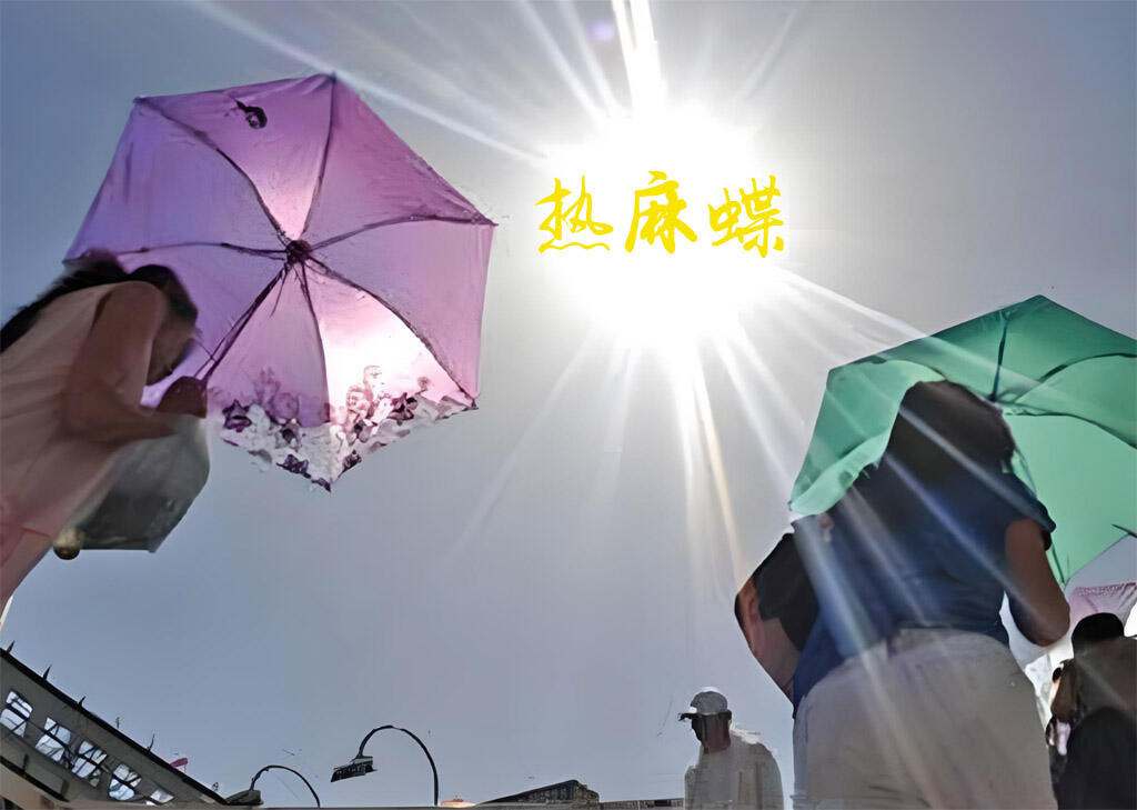 太热了，真想一脚把太阳踢到东北三省去